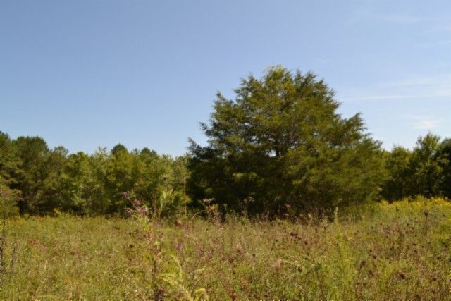 0 Taylor Place Rd, Jamestown, TN 38556