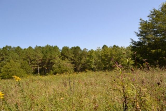 0 Taylor Place Rd, Jamestown, TN 38556