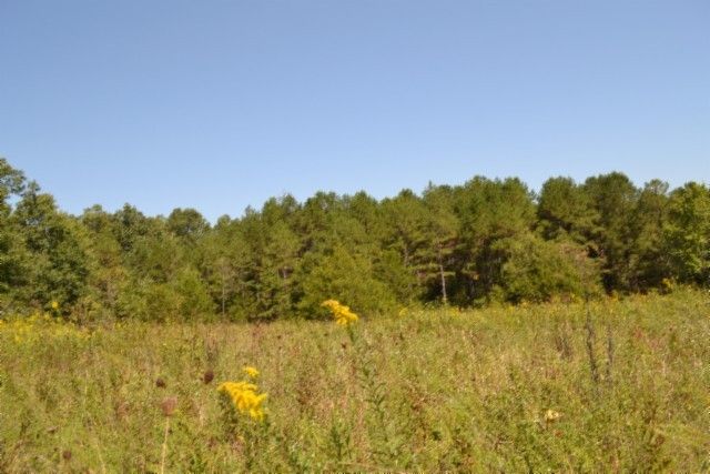 0 Taylor Place Rd, Jamestown, TN 38556