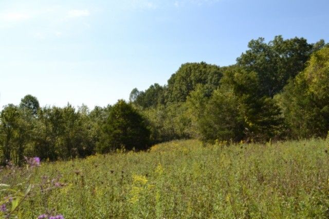 0 Taylor Place Rd, Jamestown, TN 38556