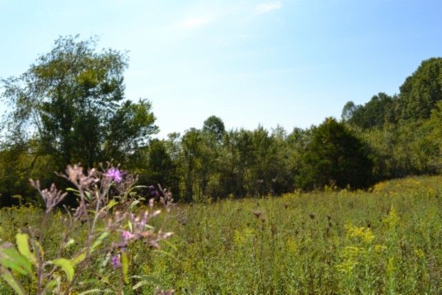 0 Taylor Place Rd, Jamestown, TN 38556