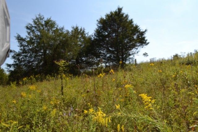 0 Taylor Place Rd, Jamestown, TN 38556