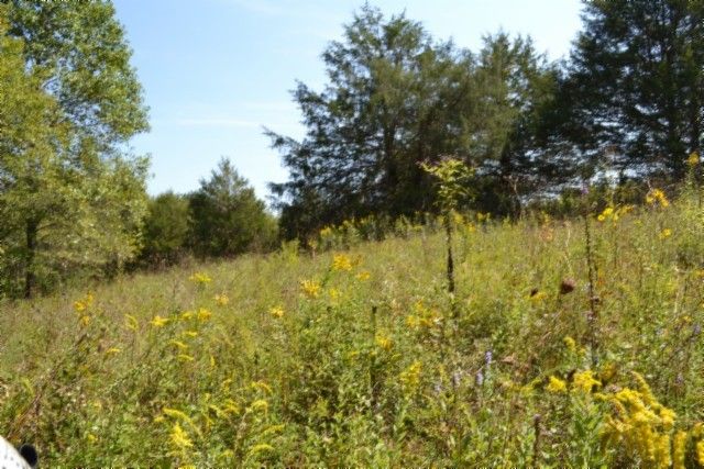 0 Taylor Place Rd, Jamestown, TN 38556