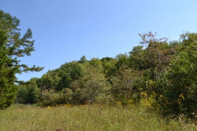 0 Taylor Place Rd, Jamestown, TN 38556