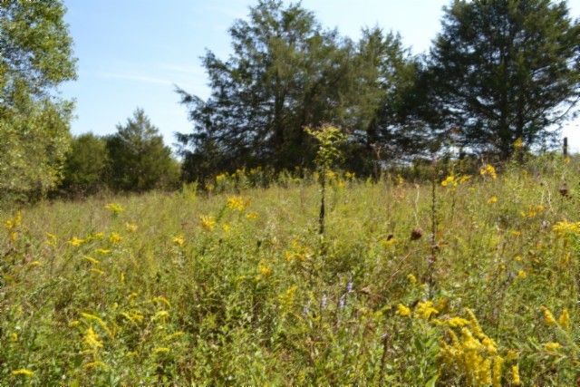 0 Taylor Place Rd, Jamestown, TN 38556