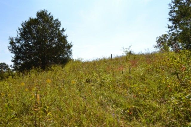 0 Taylor Place Rd, Jamestown, TN 38556