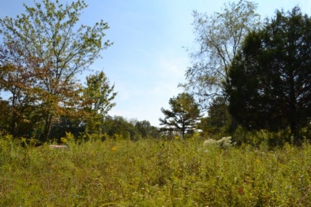 0 Taylor Place Rd, Jamestown, TN 38556