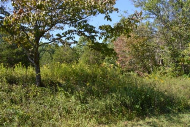 0 Taylor Place Rd, Jamestown, TN 38556