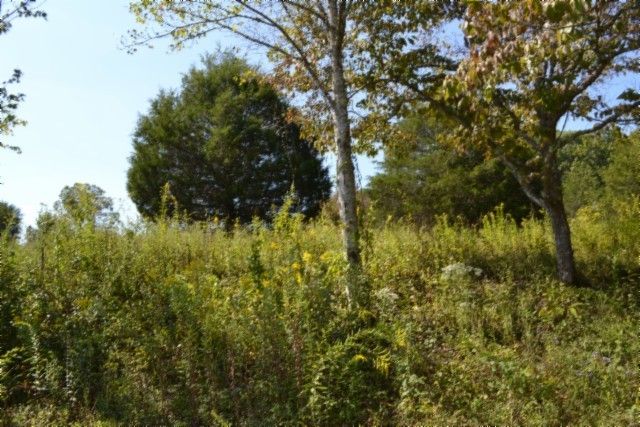 0 Taylor Place Rd, Jamestown, TN 38556