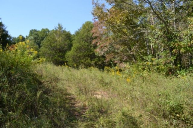 0 Taylor Place Rd, Jamestown, TN 38556