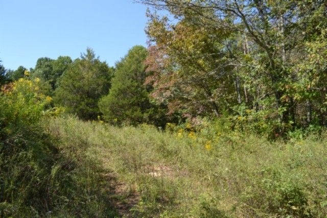 0 Taylor Place Rd, Jamestown, TN 38556