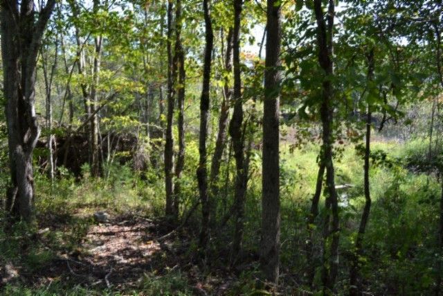 0 Taylor Place Rd, Jamestown, TN 38556