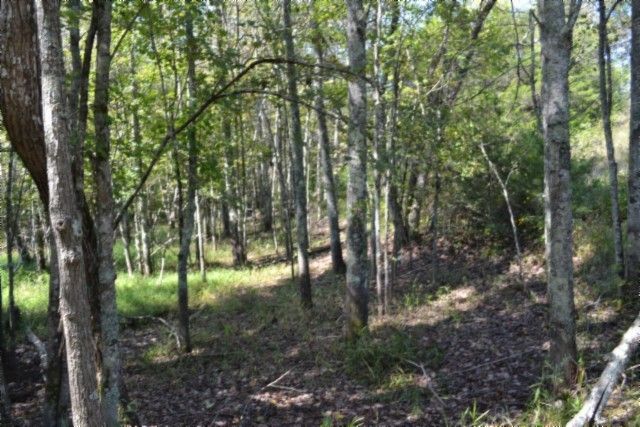 0 Taylor Place Rd, Jamestown, TN 38556