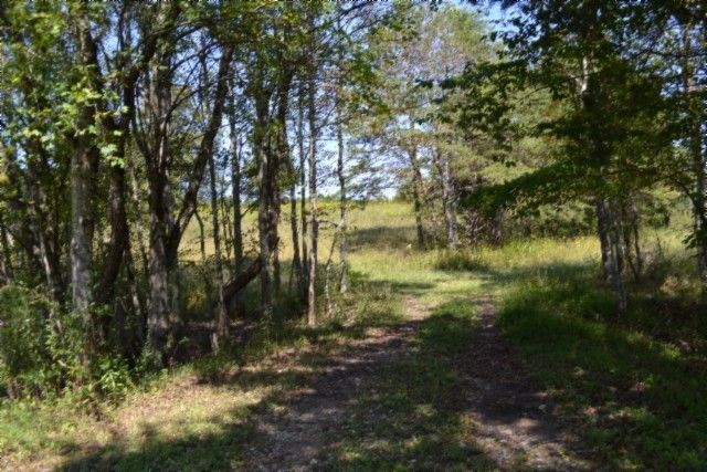 0 Taylor Place Rd, Jamestown, TN 38556