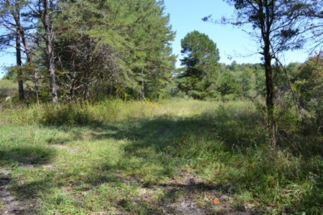 0 Taylor Place Rd, Jamestown, TN 38556