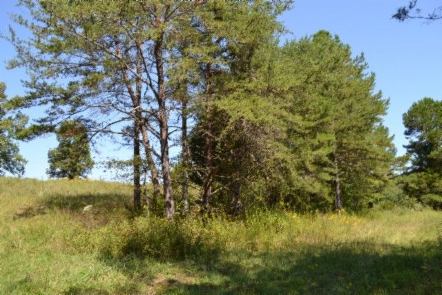 0 Taylor Place Rd, Jamestown, TN 38556