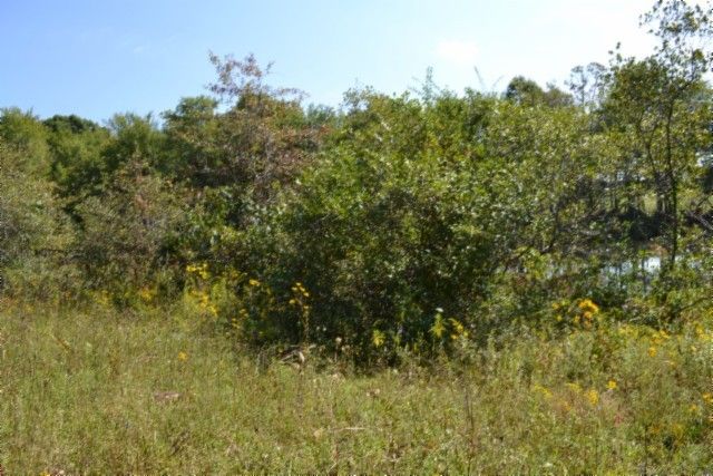 0 Taylor Place Rd, Jamestown, TN 38556