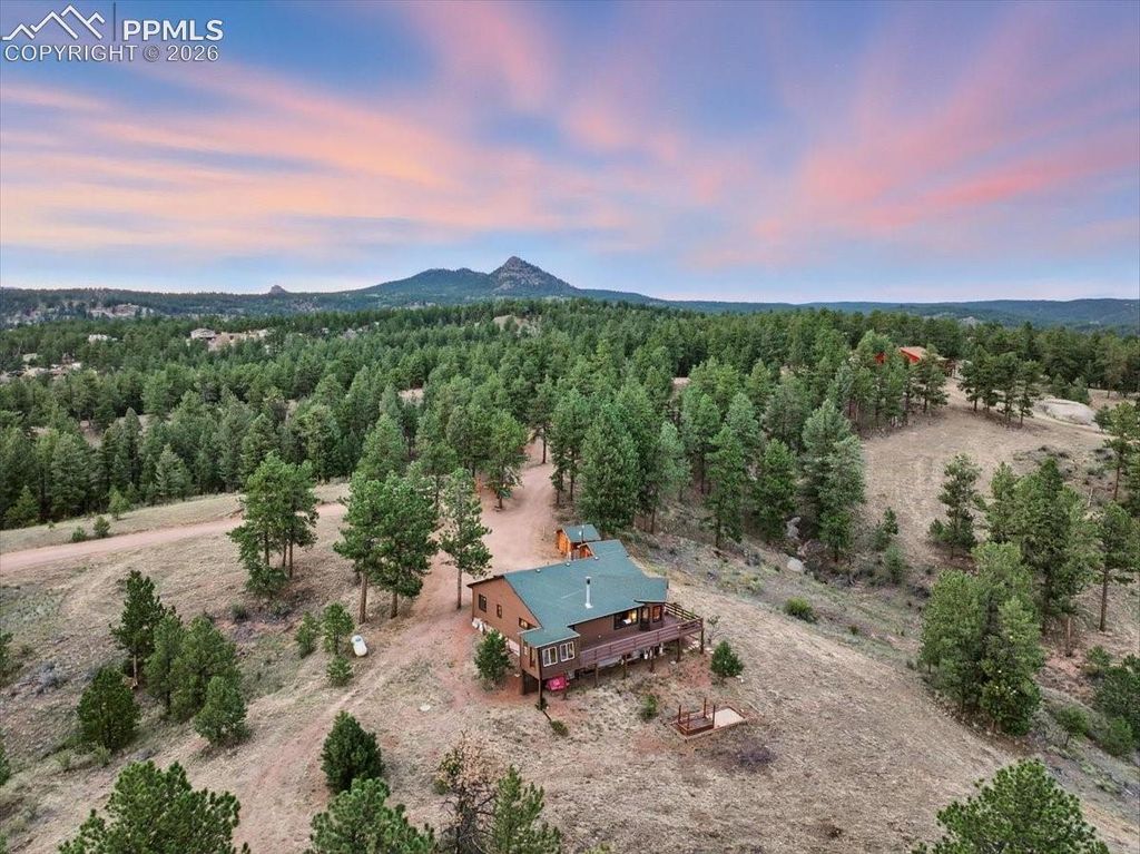 1721 Wildhorn Road, Florissant, CO 80816 — photo 2