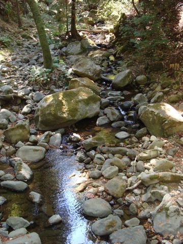 7150 Croy Road, Morgan Hill, CA 95037