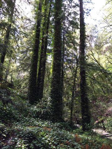 7150 Croy Road, Morgan Hill, CA 95037