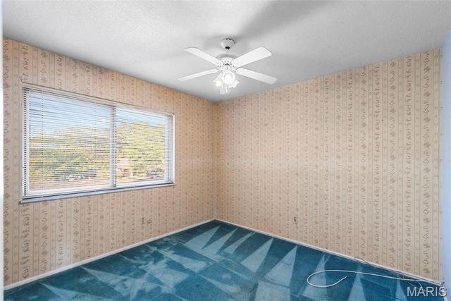 11054 Thousand Oaks Drive, St Louis, MO 63136