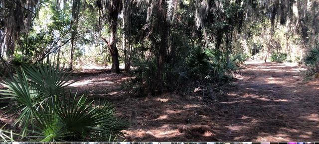 LAKE REEDY BOULEVARD N, Frostproof, FL 33843
