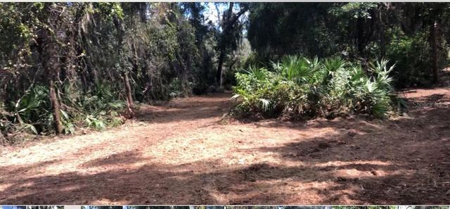 LAKE REEDY BOULEVARD N, Frostproof, FL 33843