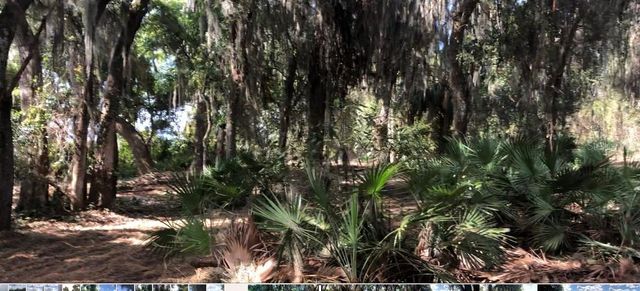 LAKE REEDY BOULEVARD N, Frostproof, FL 33843