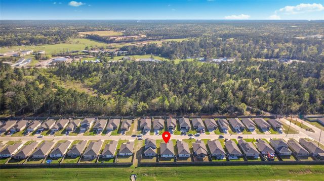 309 Cumberland Forest Drive, Magnolia, TX 77354