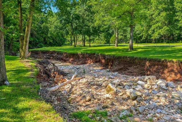 85 Dogwood Ridge Drive, Rogersville, MO 65742