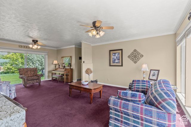 3647 MAPLE CREEK RD, Franklin, ID 83237