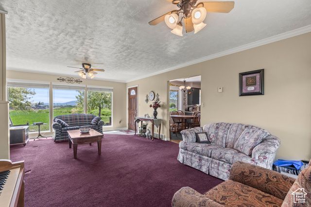 3647 MAPLE CREEK RD, Franklin, ID 83237