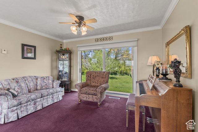 3647 MAPLE CREEK RD, Franklin, ID 83237