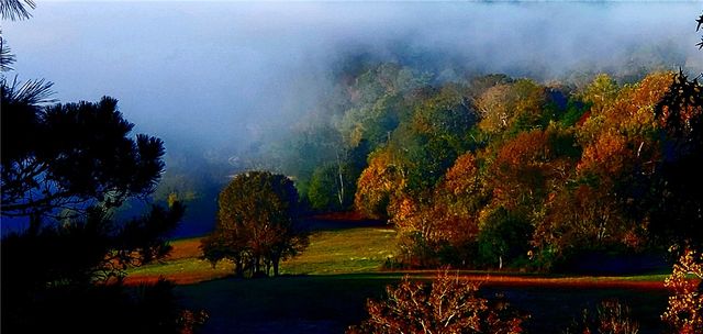 11375 High Sky Inn Road, Hindsville, AR 72738