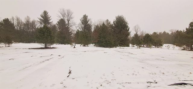 2221 Nancy Kay Avenue Lot: 5, Interlochen, MI 49643