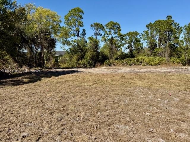 737 E THEODORE VAIL STREET, Lehigh Acres, FL 33974