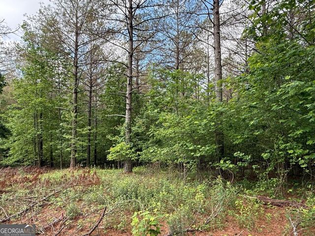 LOT 9 Eastview Trail, Ellijay, GA 30536
