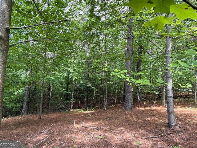 LOT 9 Eastview Trail, Ellijay, GA 30536