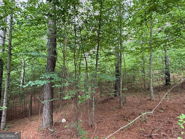 LOT 9 Eastview Trail, Ellijay, GA 30536