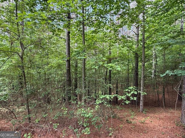 LOT 9 Eastview Trail, Ellijay, GA 30536