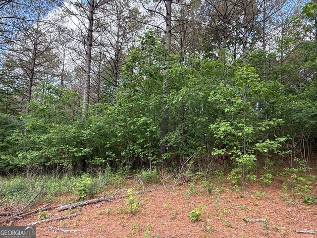 LOT 9 Eastview Trail, Ellijay, GA 30536