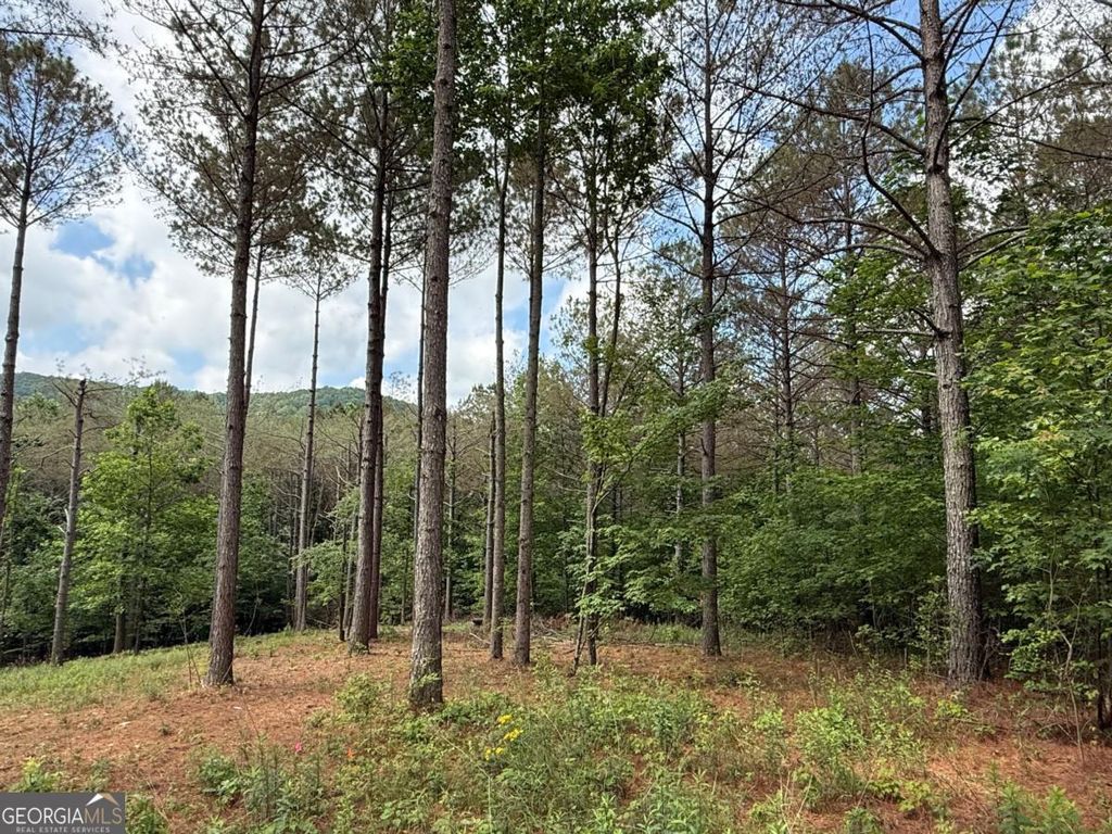 LOT 9 Eastview Trail, Ellijay, GA 30536