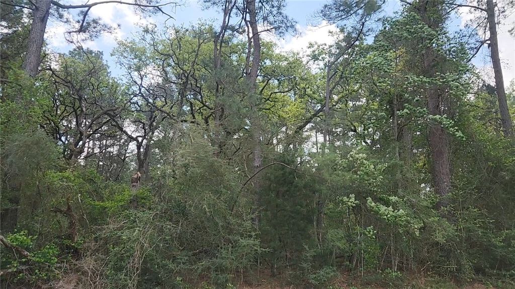 Lot 2 N. Council Dr., Hempstead, TX 77445 — exterior