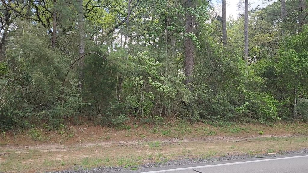Lot 2 N. Council Dr., Hempstead, TX 77445 — photo 3