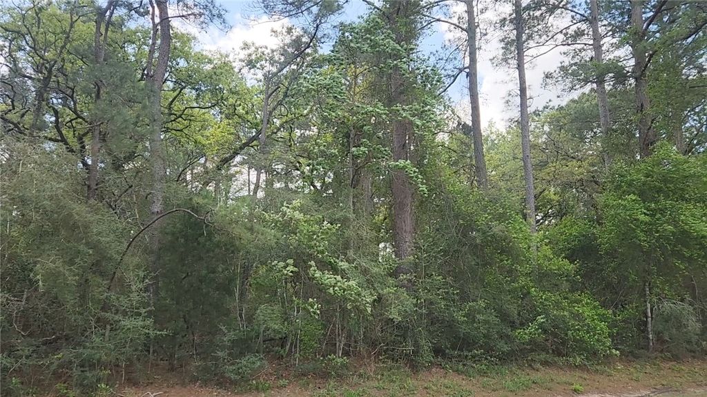 Lot 2 N. Council Dr., Hempstead, TX 77445 — photo 4
