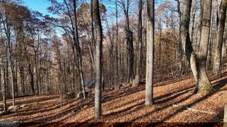 LOT 11 Mountainside Drive, Cleveland, GA 30528
