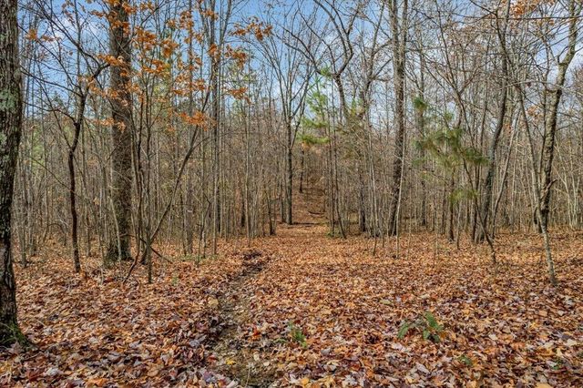 0 Crockett Point, Jasper, TN 37347