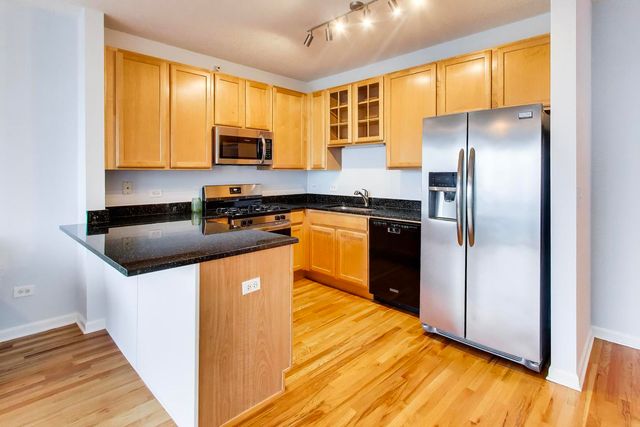 1717 S Prairie Avenue 1907, Chicago, IL 60616