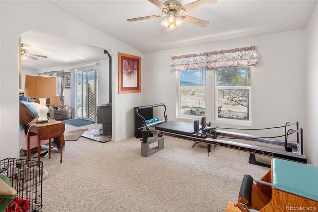 13786 Schoger Road, Nathrop, CO 81236