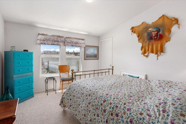 13786 Schoger Road, Nathrop, CO 81236